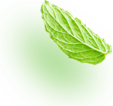 ye1 ye1